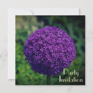 Perfekte Lila Allium Blume 60. Geburtstagsparty