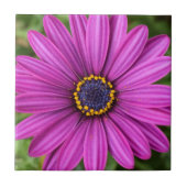 Perfekte Lila Blume Fliese (Vorderseite)