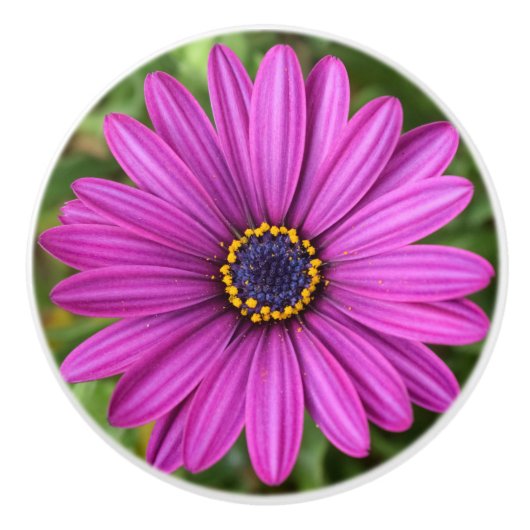 Perfekte Lila Blume Keramikknauf (Vorderseite)