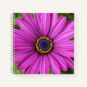 Perfekte Lila Blume Notizblock