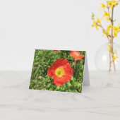 Perfekte Mohnblumen Karte (Gelbe Blume)