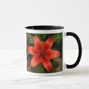 Perfekte Orange Lily Blume Tasse