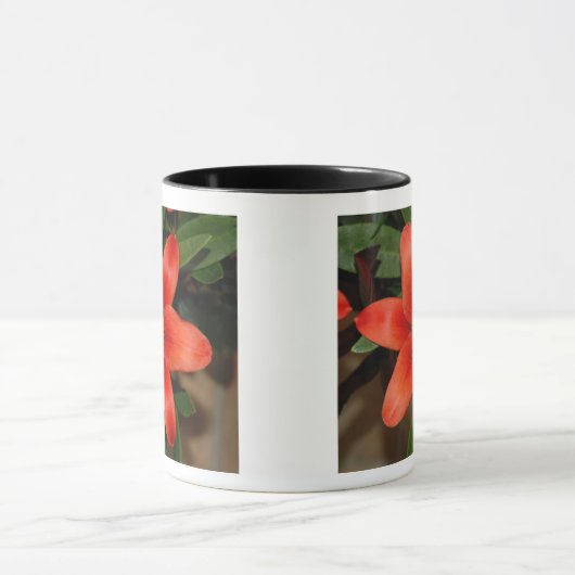Perfekte Orange Lily Blume Tasse (Zentrum)