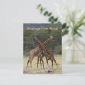 Perfekte Partner - Postkarte (Stehend Vorderseite)