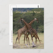 Perfekte Partner - Postkarte (Vorne/Hinten)