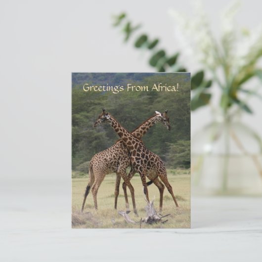 Perfekte Partner - Postkarte (Stehend Vorderseite)