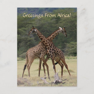 Perfekte Partner - Postkarte