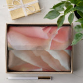 Perfekte PastellRose Seidenpapier (Geschenk)