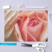 Perfekte PastellRose Seidenpapier (Handwerk)