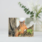 Perfekte Pose Postkarte (Stehend Vorderseite)