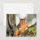 Perfekte Pose Postkarte (Vorne/Hinten)