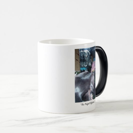 Perfekte Reflexion - Gott/Hund Verwandlungstasse (VorderseiteRechts)