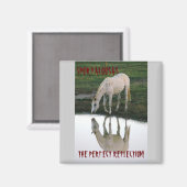 Perfekte Reflexion.. Magnet (Vorderseite/Rückseite)