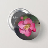 Perfekte rosa Blütenquitte Button (Vorne & Hinten)