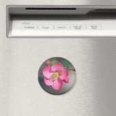 Perfekte rosa Blütenquitte Magnet (In Situ (Geschirrspüler))