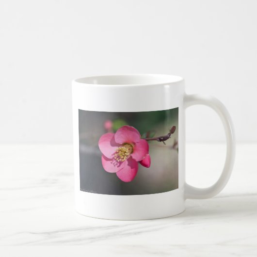 Perfekte rosa Blütenruhe Kaffeetasse (Rechts)