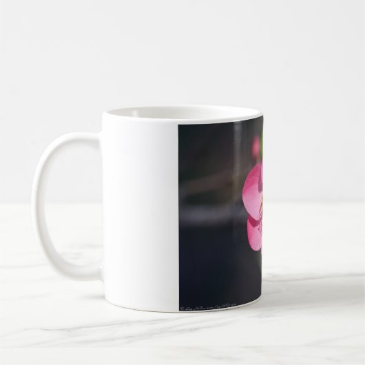 Perfekte rosa Blütenruhe Kaffeetasse (Links)