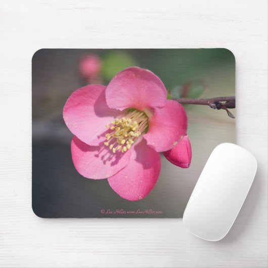 Perfekte rosa Blütenruhe Mousepad (Mit Mouse)