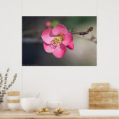 Perfekte rosa Blütenruhe Poster (Küche)