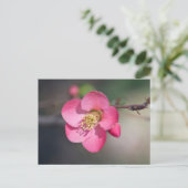 Perfekte rosa Blütenruhe Postkarte (Stehend Vorderseite)