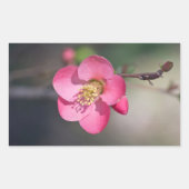 Perfekte rosa Blütenruhe Rechteckiger Aufkleber (Vorderseite)