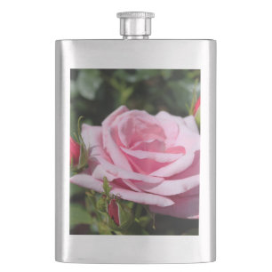 perfekte rosa Rosenblume und Knospen. Liebe, Freun Flachmann
