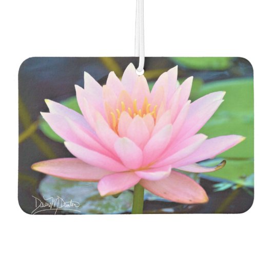 Perfekte rosa Schönheit Autolufterfrischer (Vorderseite)