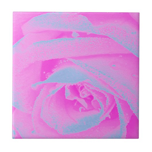 Perfekte Rose für Hot Pink und Light Blue Fliese (Vorderseite)
