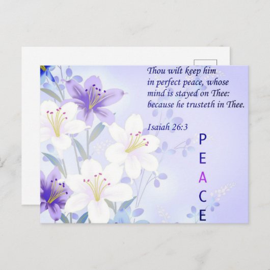 Perfekte Ruhe Postkarte (Vorne/Hinten)