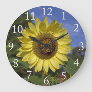 Perfekte Sommersonne am blauen Himmel. Große Wanduhr