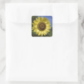 Perfekte Sommersonnenblume in blauem Himmel. Quadratischer Aufkleber (Tasche)