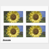 Perfekte Sommersonnenblume in blauem Himmel. Rechteckiger Aufkleber (Blatt)