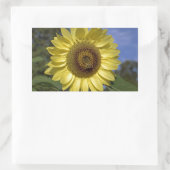 Perfekte Sommersonnenblume in blauem Himmel. Rechteckiger Aufkleber (Tasche)