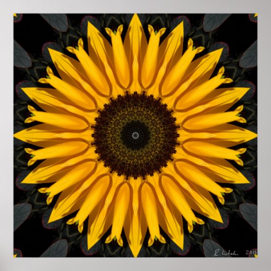 Perfekte Sonnenblume Poster (Vorne)