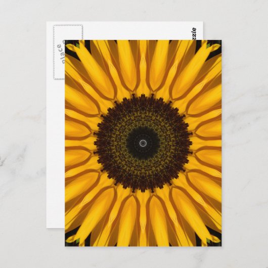 Perfekte Sonnenblume Postkarte (Vorne/Hinten)