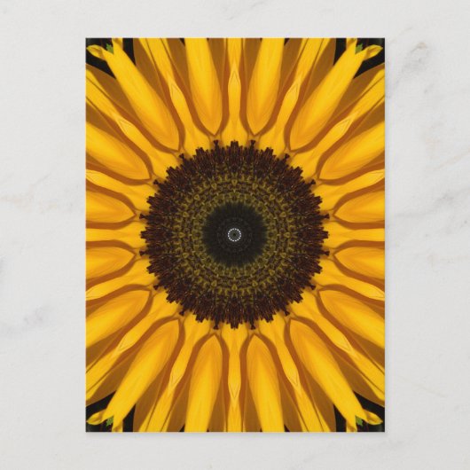 Perfekte Sonnenblume Postkarte (Vorderseite)