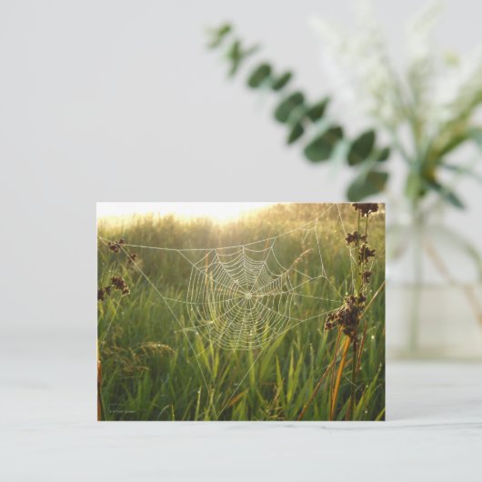 Perfekte Spider Web Postkarte (Stehend Vorderseite)
