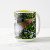 Perfekte Tasse Kaffee (VorderseiteRechts)