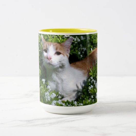 Perfekte Tasse Kaffee (Mittel)
