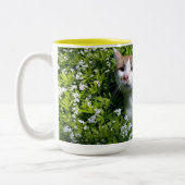 Perfekte Tasse Kaffee (Links)