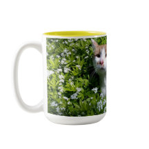 Perfekte Tasse Kaffee
