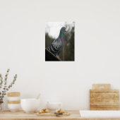 Perfekte Taubendrucke Poster (Küche)