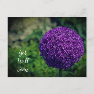 Perfekte violette Allium-Blume Gute Besserung Postkarte