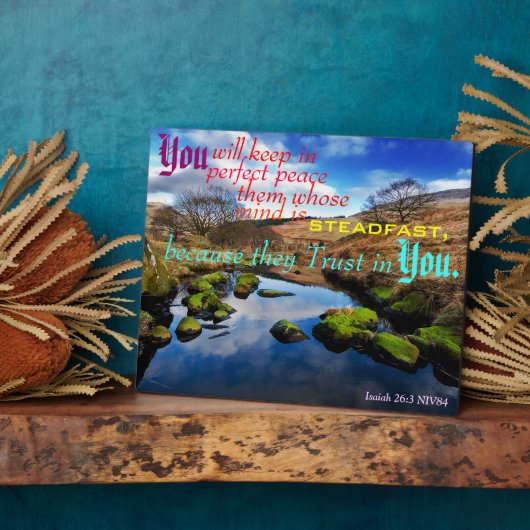 Perfekter Friedensplatz. Fotoplatte (Seite)