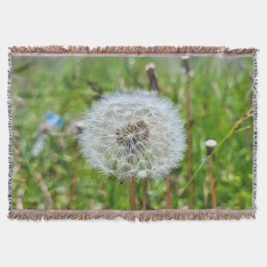 Perfekter Löwenzahn – Botanische Makrofotografie Decke (Vorderseite)