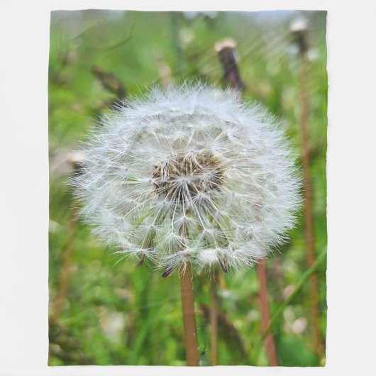 Perfekter Löwenzahn – Botanische Makrofotografie Fleecedecke (Vorderseite)