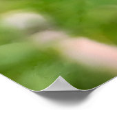 Perfekter Löwenzahn – Botanische Makrofotografie Poster (Ecke)