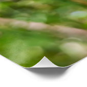 Perfekter Löwenzahn – Botanische Makrofotografie Poster (Ecke)