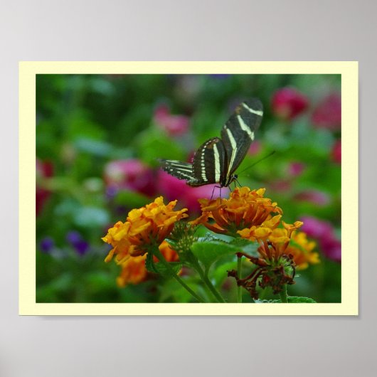 Perfekter Ort! Poster (Vorne)