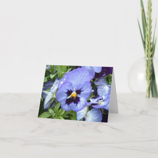 Perfekter Pansy Notecard Karte (Vorderseite)